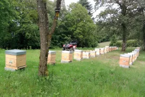 Visite et dégustation au Rucher de la Vauzelle