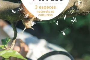 Exposition de peintures Isabelle Moreau