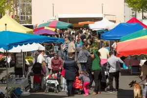 Marché traditionnel